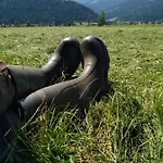 Farm stay Schartlhof *