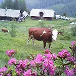 Schartlhof Farm stay *