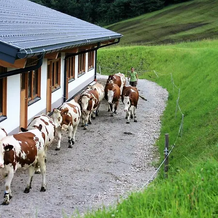 Farmház Schartlhof Flachau