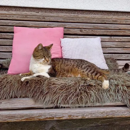 Schartlhof Farmház *