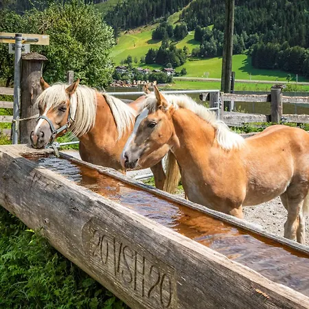Schartlhof Farmház Flachau
