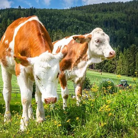 Schartlhof Farmház *