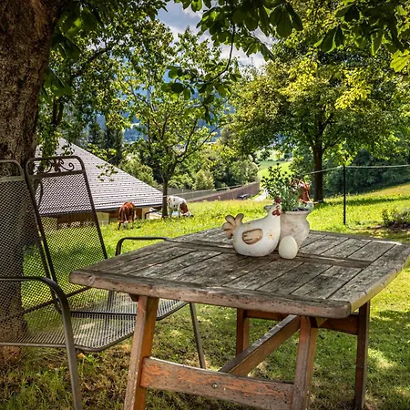 Schartlhof Farmház Flachau