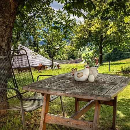 Schartlhof Alojamento de Turismo Rural Flachau