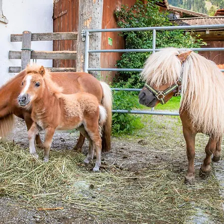 Schartlhof Farmház Flachau