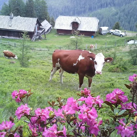 Schartlhof Alojamento de Turismo Rural *