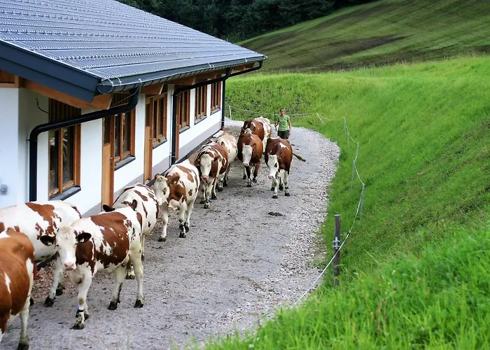 مزرعة للإقامة Schartlhof فلاخاو