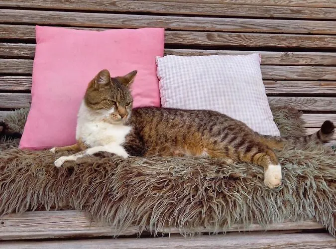 Schartlhof مزرعة للإقامة *