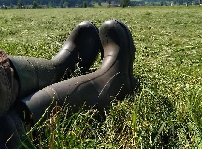 مزرعة للإقامة Schartlhof *