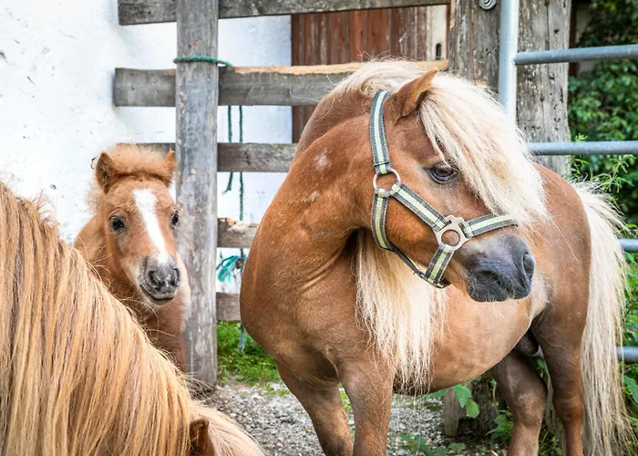 مزرعة للإقامة Schartlhof