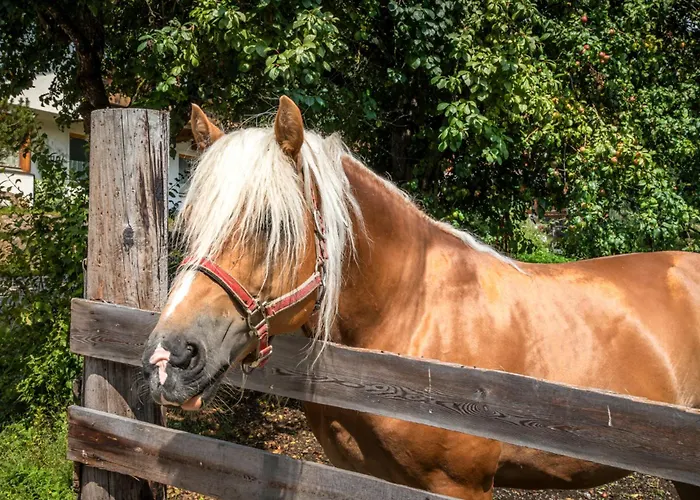 مزرعة للإقامة Schartlhof فلاخاو