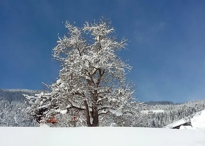 Schartlhof *
