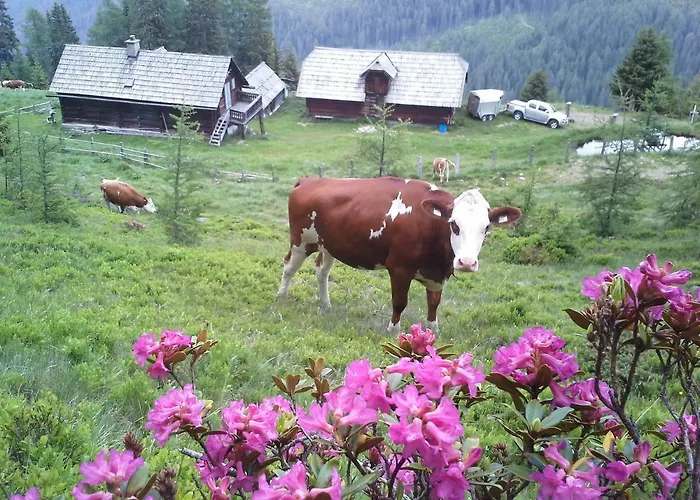 Schartlhof مزرعة للإقامة *